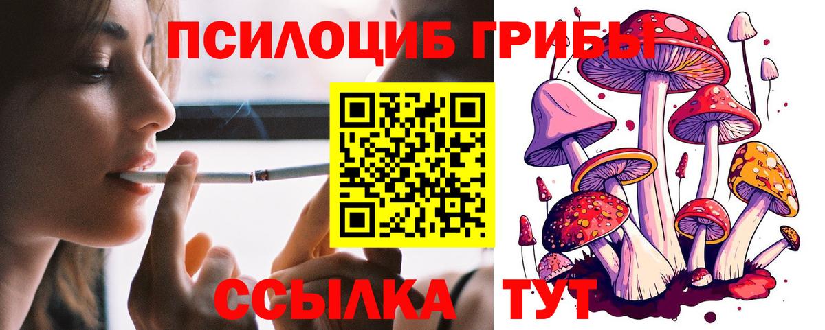 Ливны  Галлюциногенные грибы ЛСД  Вход с VPN 